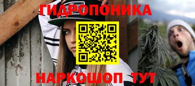 молекула духа Рузаевка