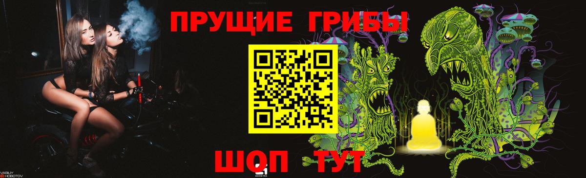 Новозыбков  Псилоцибиновые грибы Psilocybe  Вход с VPN 