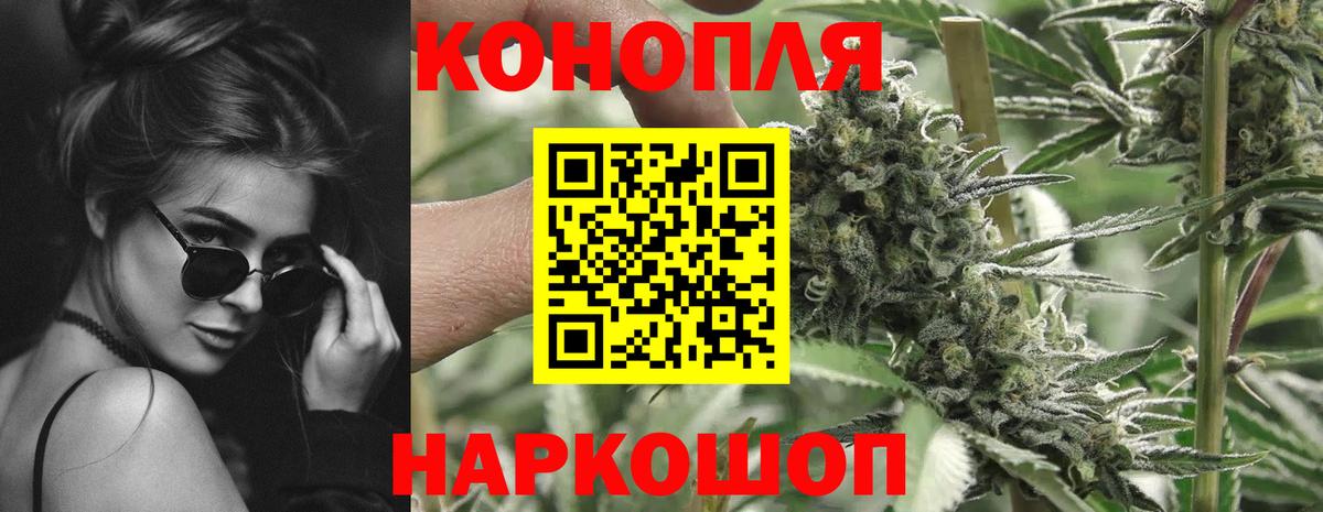 Шишки марихуана гибрид Новозыбков